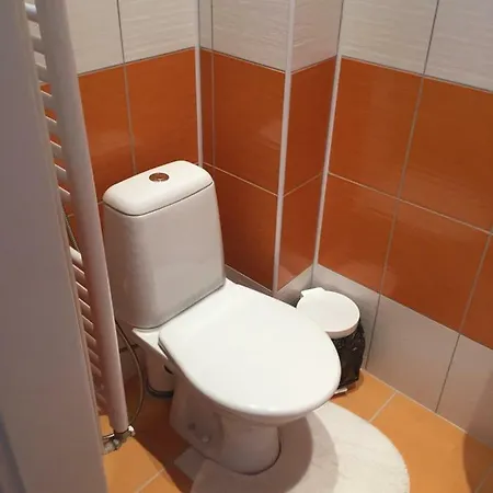 Светлая Квартира В Старом Городе Apartment *
